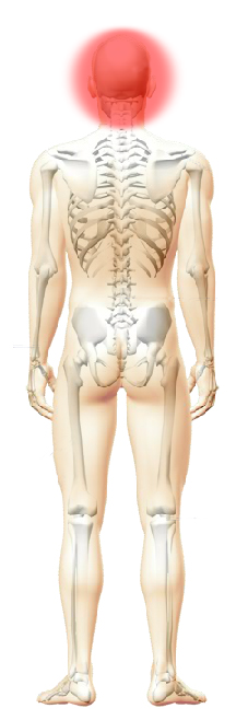 Skeleton Image