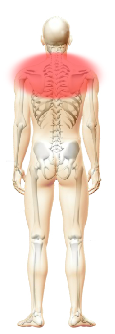 Skeleton Image