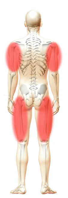 Skeleton Image